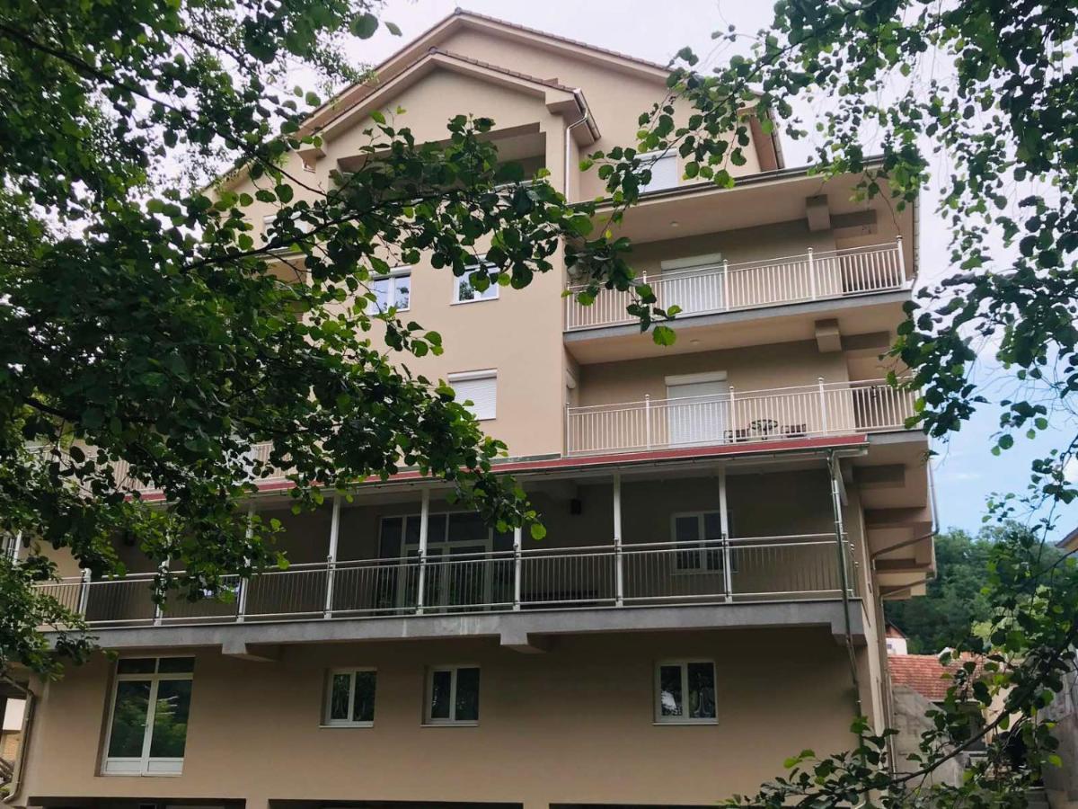 Apartmani Matin Breg Josanicka Banja Exterior foto